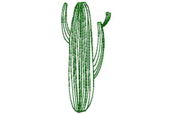 Lined Cactus Outline: A Designer’s Review
