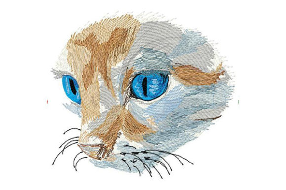 Reviewing the Cat with Deep Blue Eyes Design